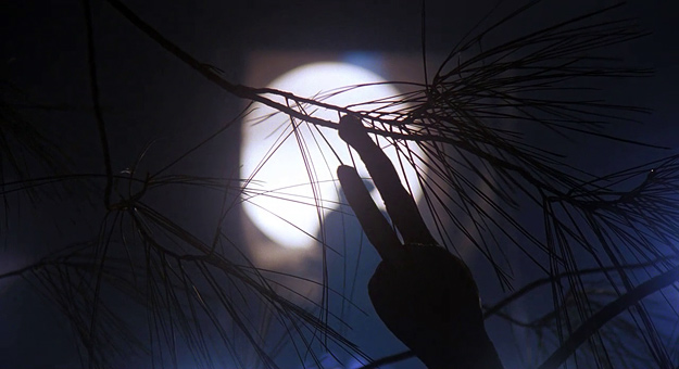 A scene from E.T. The Extra-Terrestrial (1982)