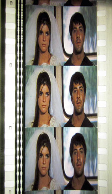 The Graduate 35 mm