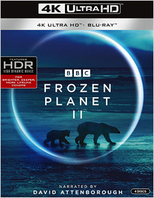 Frozen Planet II (4K Ultra HD)