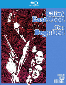 The Beguiled (Blu-ray Disc)